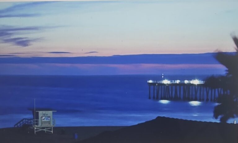 Hermosa Beach Homes
